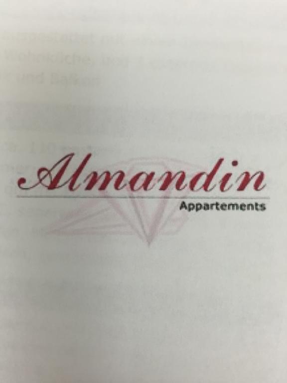 Almandin Apartments イシュグル 部屋 写真